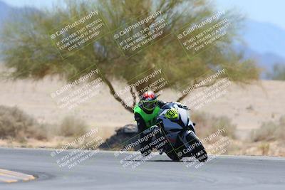 media/May-12-2024-SoCal Trackdays (Sun) [[ad755dc1f9]]/10-Turn 4 Tree of Life (1120am)/